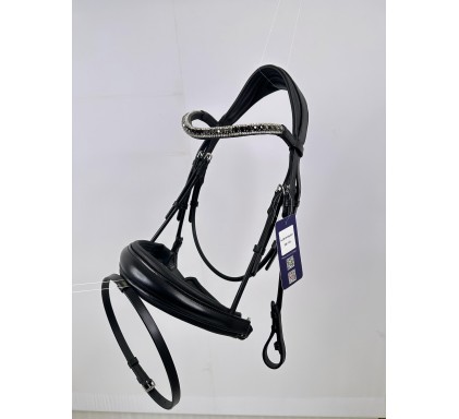 Leather Bridle 